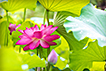 04