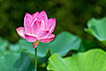 08