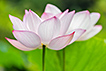 03